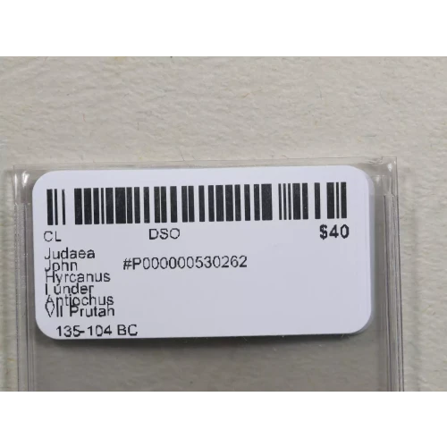 Ancient Greek Coin (3)