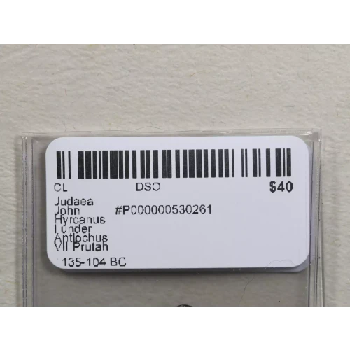 Ancient Greek Coin (3)