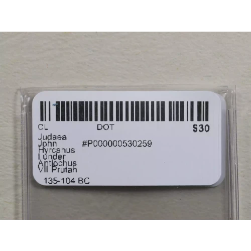 Ancient Greek Coin (3)