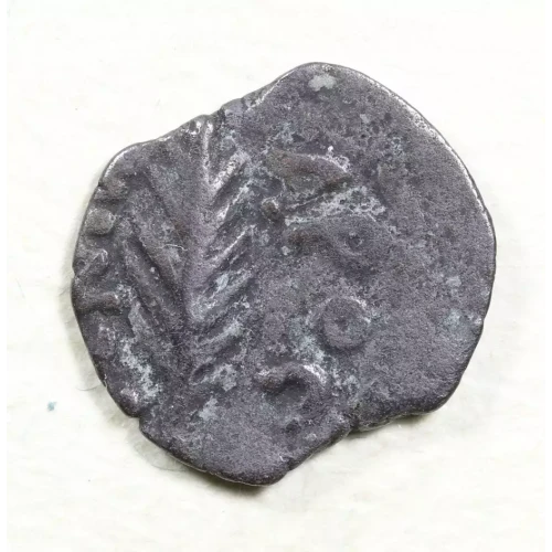 Ancient Greek Coin