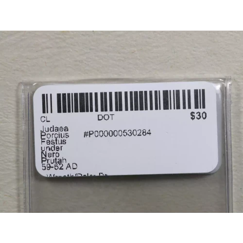 Ancient Greek Coin (3)