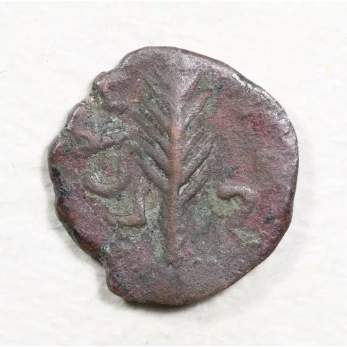 Ancient Greek Coin (2)