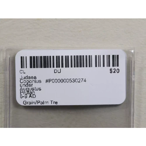 Ancient Greek Coin (3)