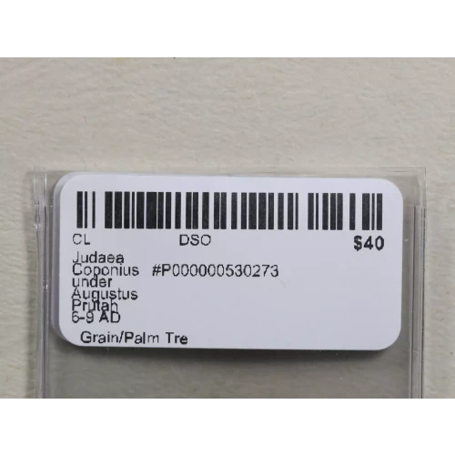 Ancient Greek Coin (3)