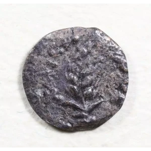 Ancient Greek Coin