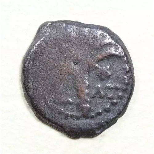 Ancient Greek Coin (2)