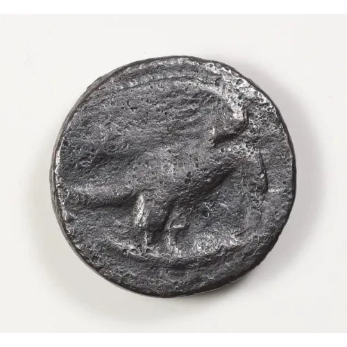 Ancient Greek Coin (2)