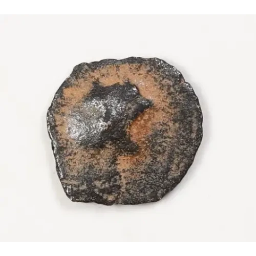 Ancient Greek Coin