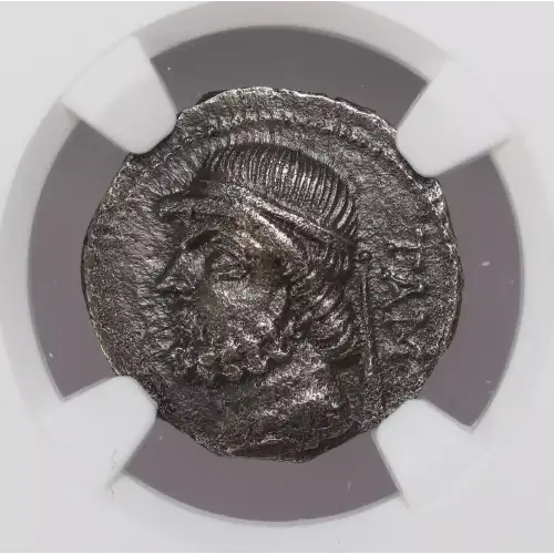Ancient Greek Coin (4)