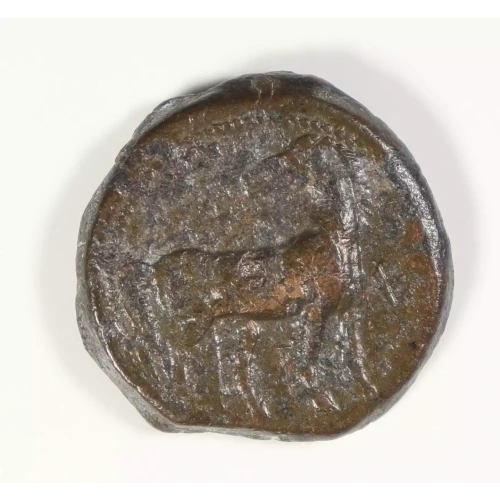 Ancient Greek Coin (2)