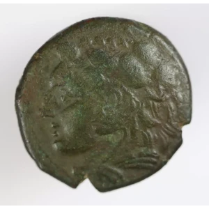 Ancient Greek Coin (2)
