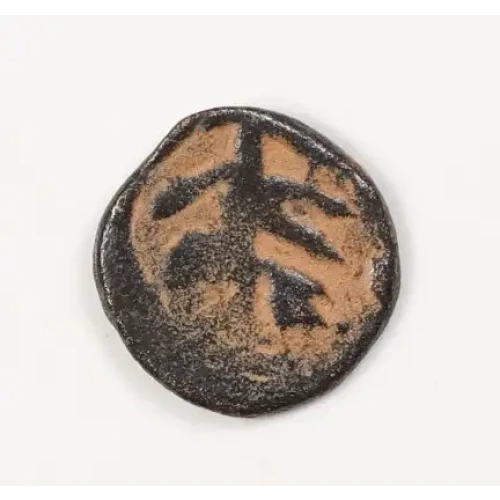 Ancient Greek Coin (2)
