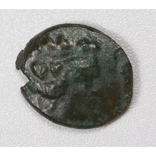 Ancient Greek Coin