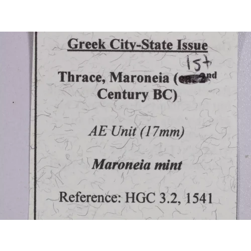 Ancient Greek Coin (5)