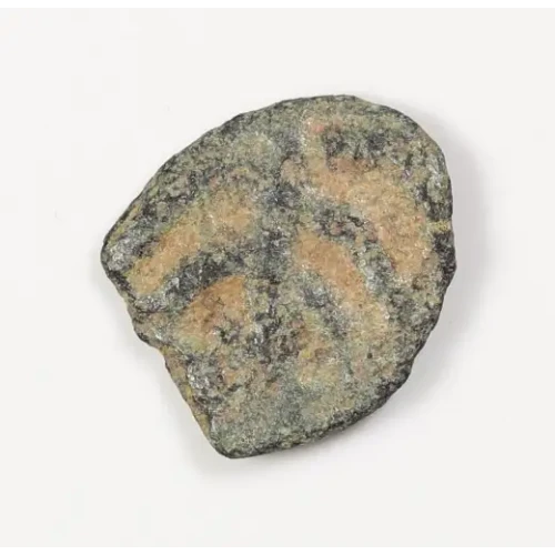 Ancient Greek Coin (2)