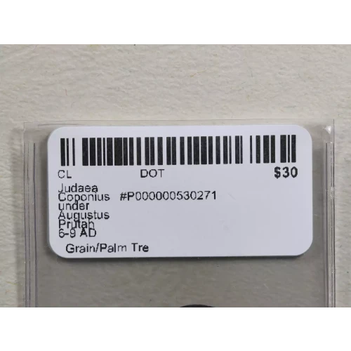 Ancient Greek Coin (3)