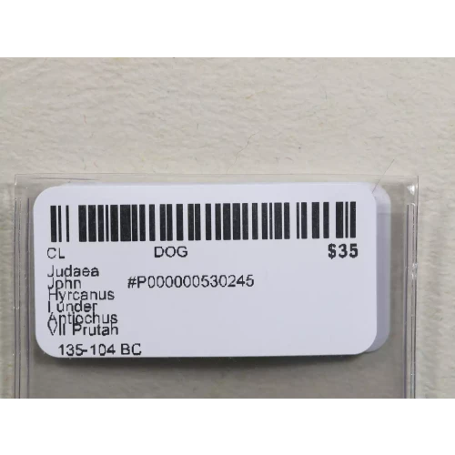 Ancient Greek Coin (3)