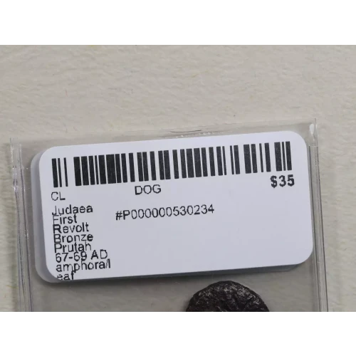 Ancient Greek Coin (3)