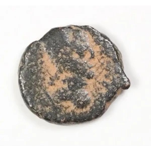 Ancient Greek Coin (2)