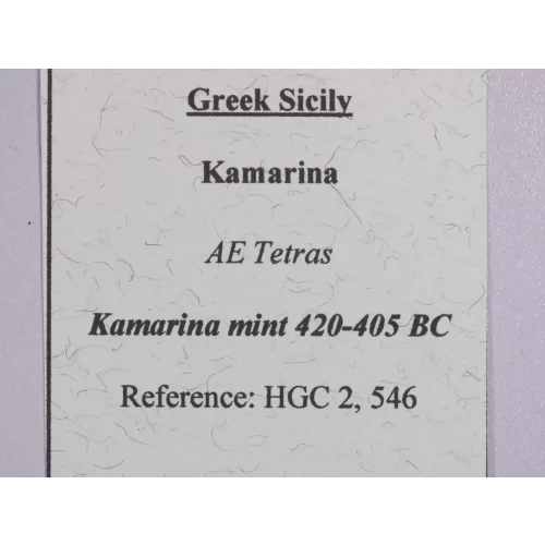 Ancient Greek Coin (4)