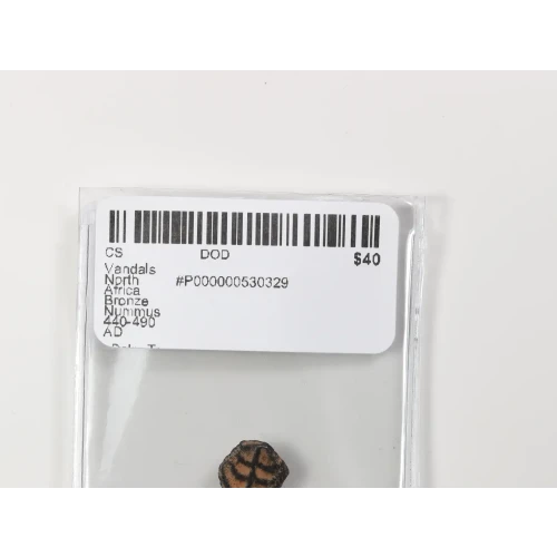 Ancient Greek Coin (3)