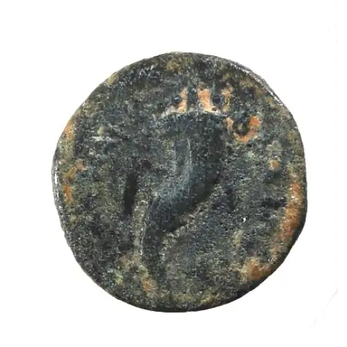 Ancient Greek Coin