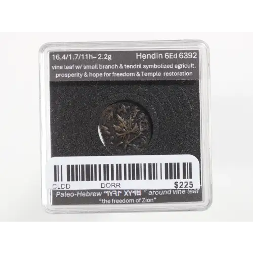 Ancient Greek Coin (2)