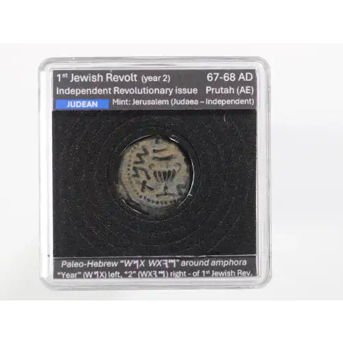 Ancient Greek Coin (2)