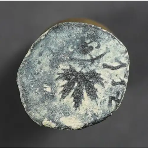 Ancient Greek Coin (4)