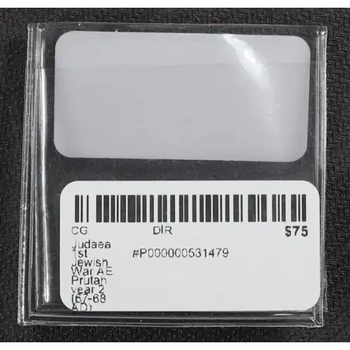 Ancient Greek Coin (2)