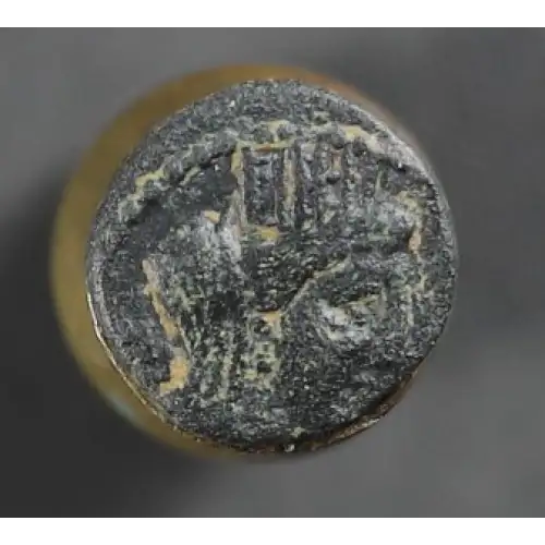 Ancient Greek Coin