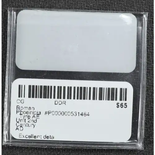 Ancient Greek Coin (3)