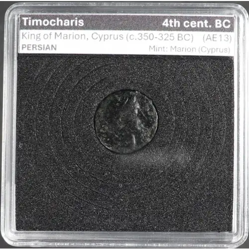 Ancient Greek Coin (2)