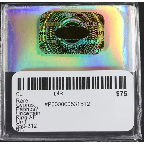 Ancient Greek Coin (2)