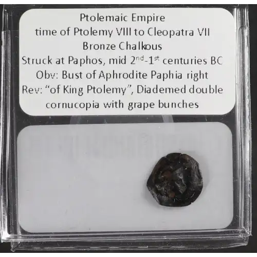 Ancient Greek Coin (2)