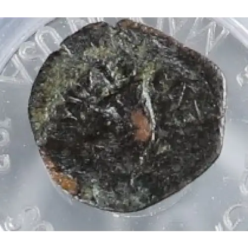 Ancient Greek Coin
