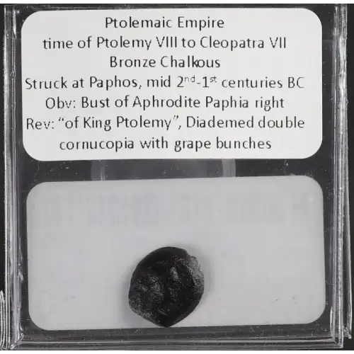 Ancient Greek Coin (2)