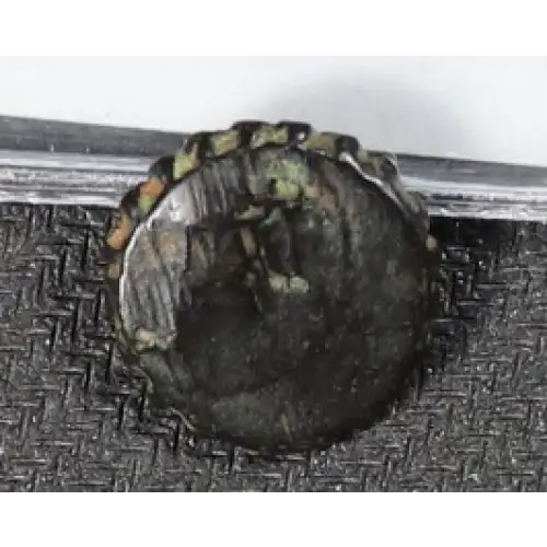 Ancient Greek Coin (2)