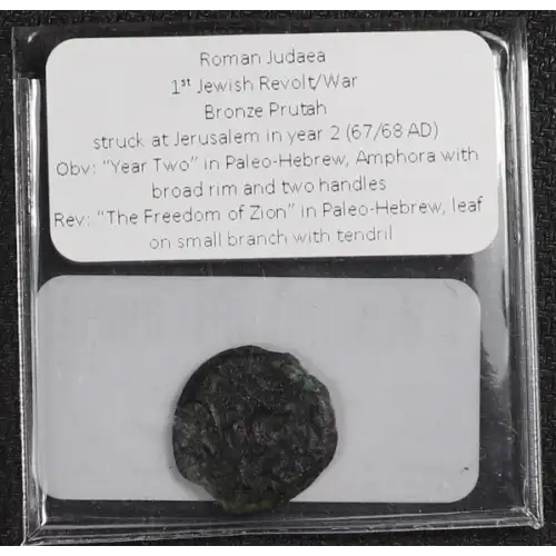 Ancient Greek Coin (4)