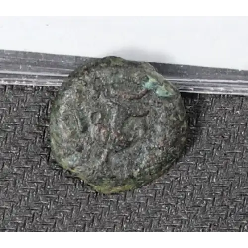Ancient Greek Coin (3)