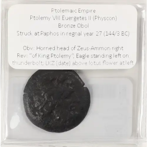 Ancient Greek Coin (4)