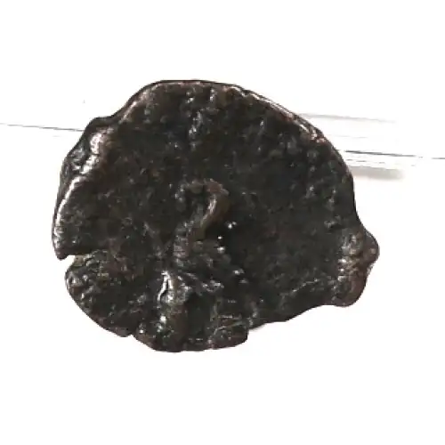 Ancient Greek Coin (2)