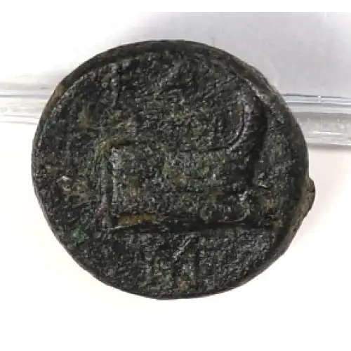 Ancient Greek Coin