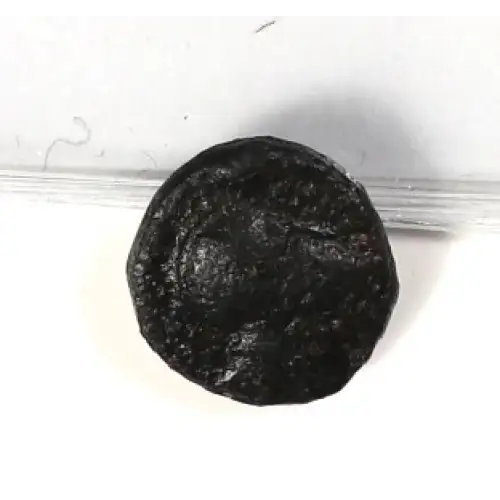 Ancient Greek Coin (2)