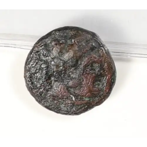 Ancient Greek Coin (2)