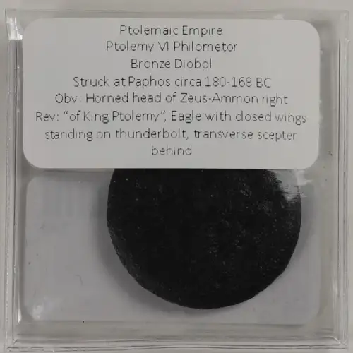 Ancient Greek Coin (3)