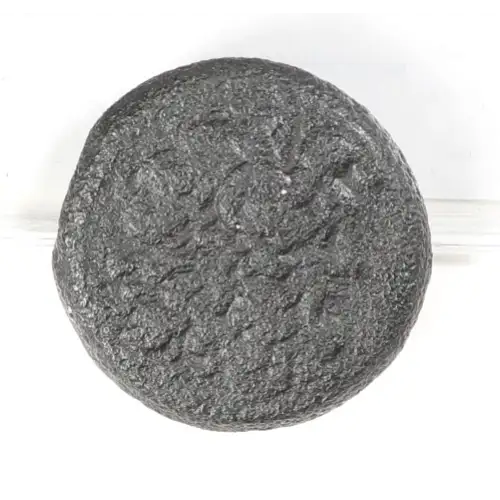 Ancient Greek Coin (2)