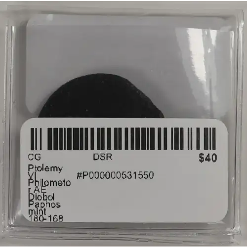 Ancient Greek Coin (4)