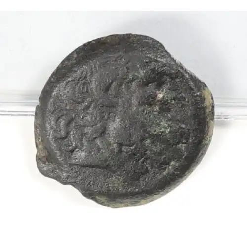 Ancient Greek Coin (4)