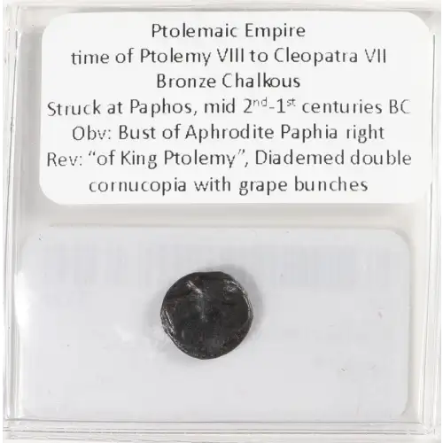 Ancient Greek Coin (4)